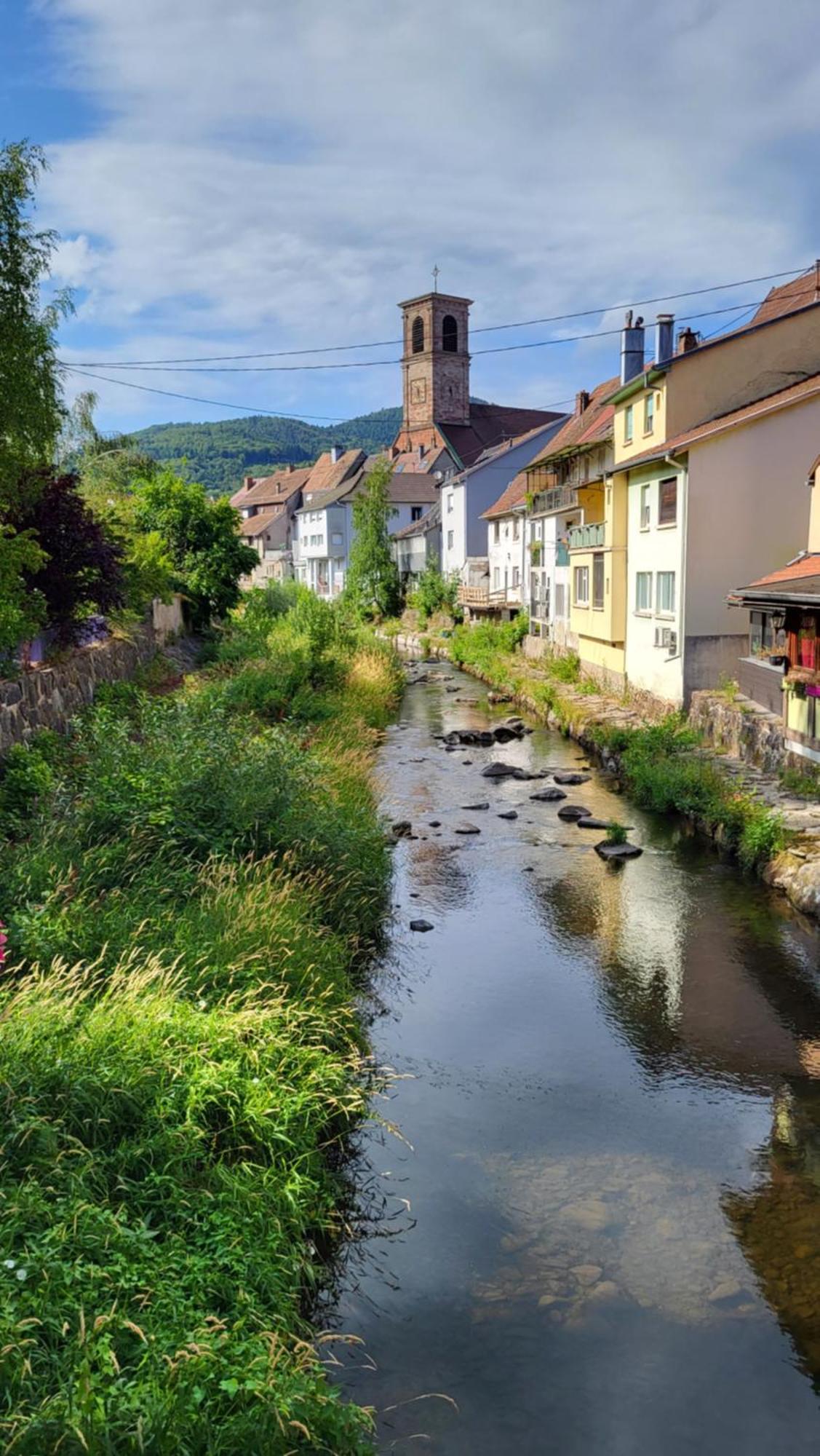 Gite Violette Et Pierrot Masevaux-Niederbruck Bagian luar foto