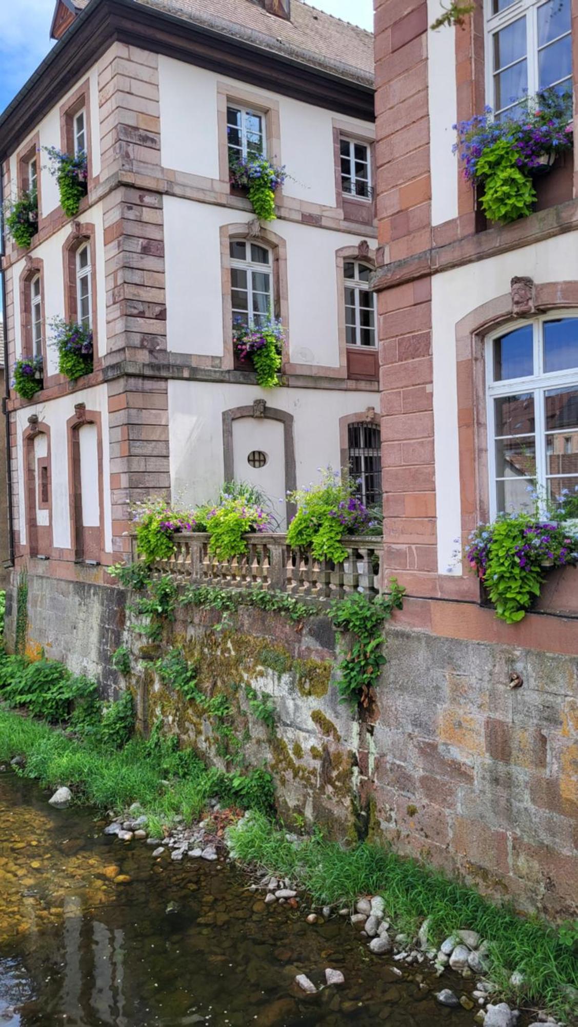 Gite Violette Et Pierrot Masevaux-Niederbruck Bagian luar foto
