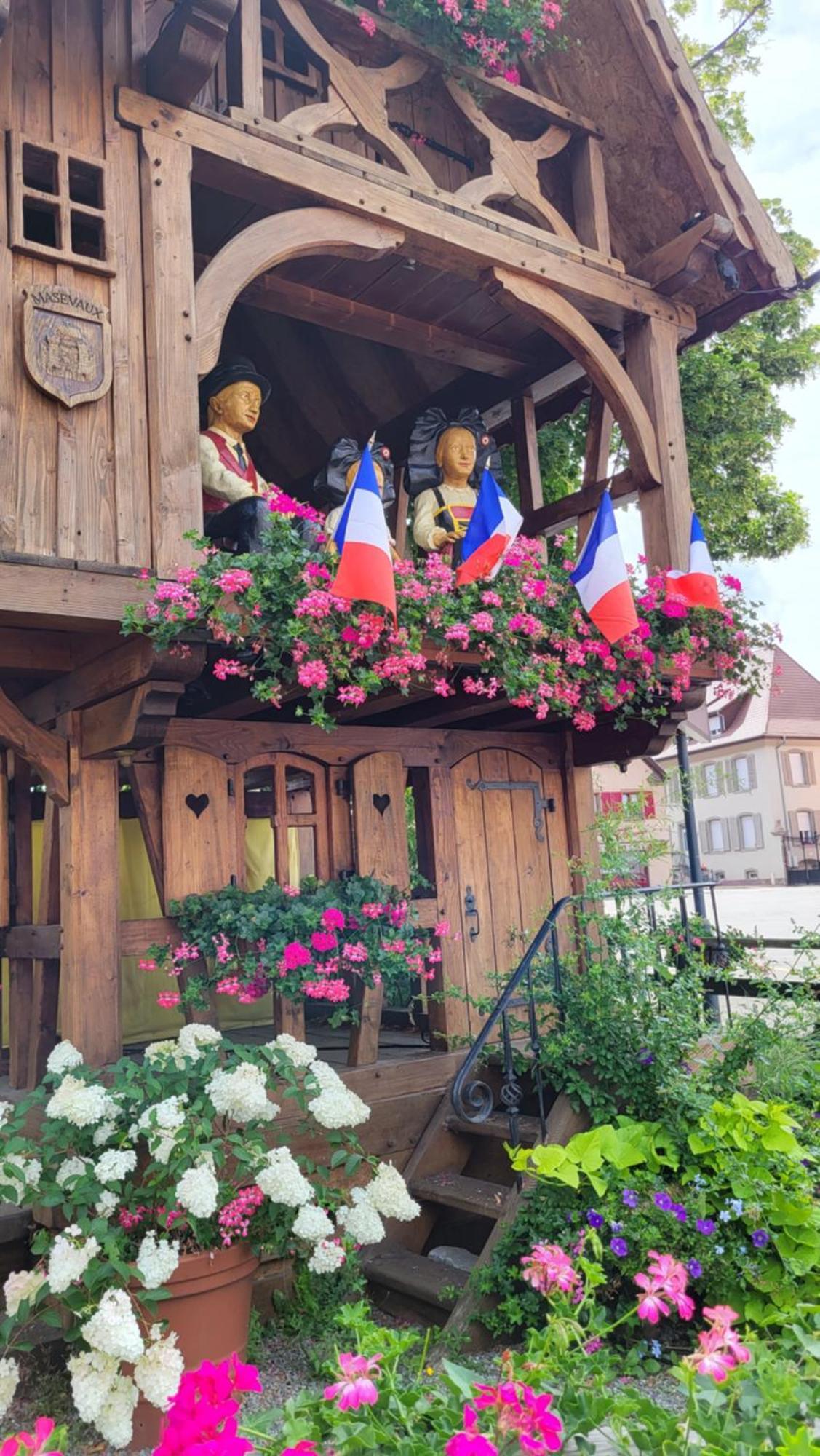Gite Violette Et Pierrot Masevaux-Niederbruck Bagian luar foto
