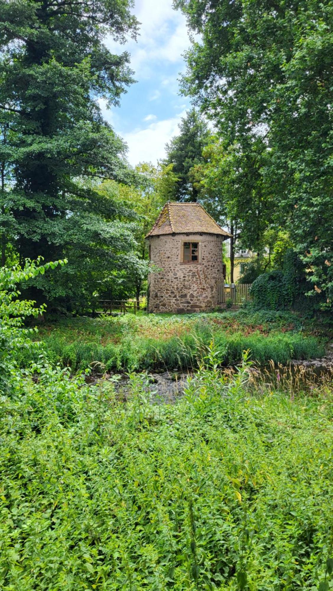 Gite Violette Et Pierrot Masevaux-Niederbruck Bagian luar foto