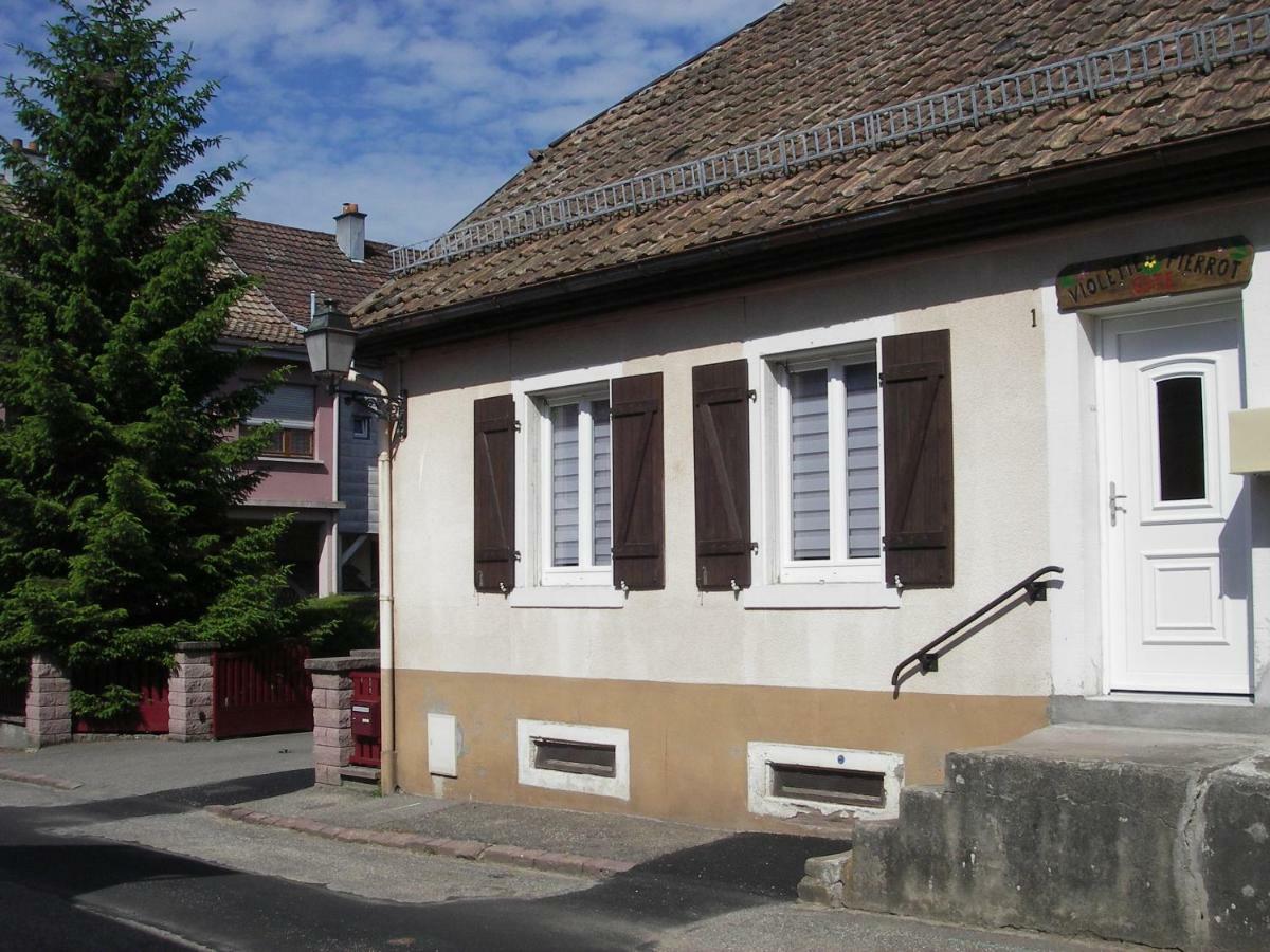 Gite Violette Et Pierrot Masevaux-Niederbruck Bagian luar foto