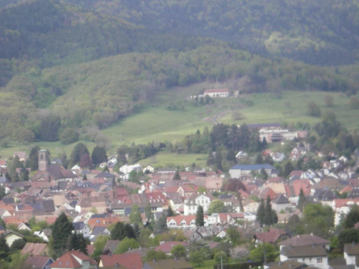 Gite Violette Et Pierrot Masevaux-Niederbruck Bagian luar foto
