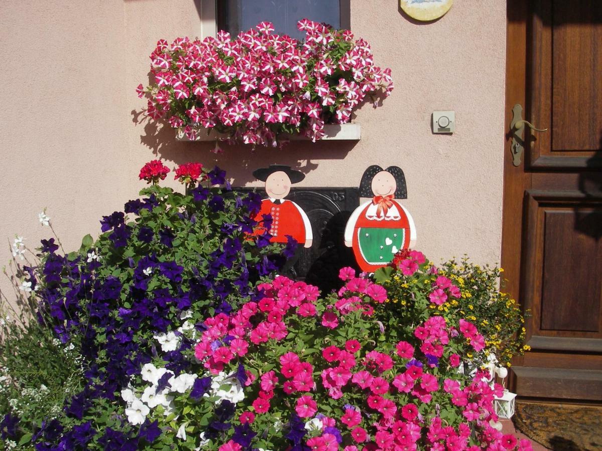 Gite Violette Et Pierrot Masevaux-Niederbruck Bagian luar foto