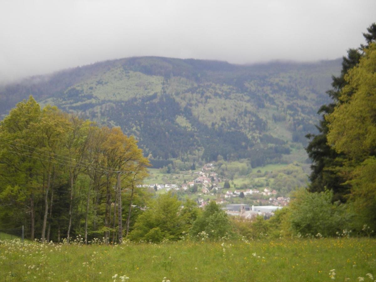 Gite Violette Et Pierrot Masevaux-Niederbruck Bagian luar foto